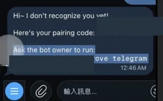 Telegram 配對碼流程（個資與配對碼已遮蔽）